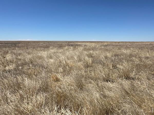12345 Road 22, Haswell, CO 81045