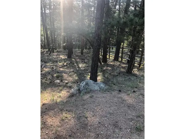 469 Echo Lake, Lake George, CO 80827