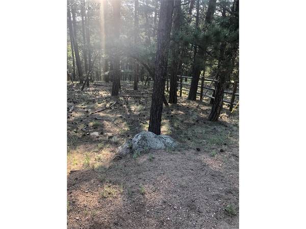 469 Echo Lake, Lake George, CO 80827
