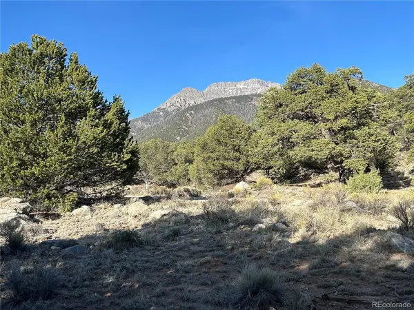 1933 Lone Pine, Crestone, CO 81131