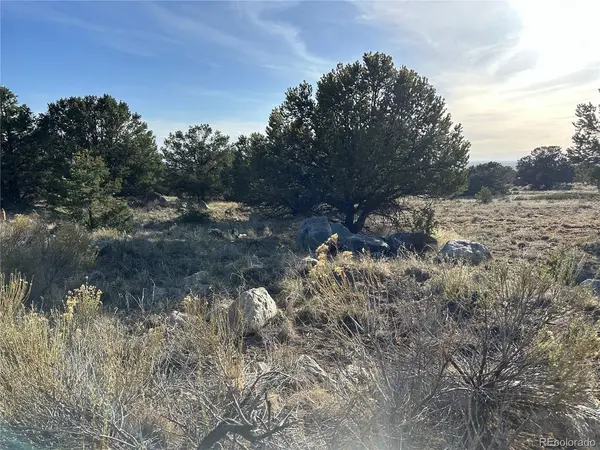 1933 Lone Pine, Crestone, CO 81131