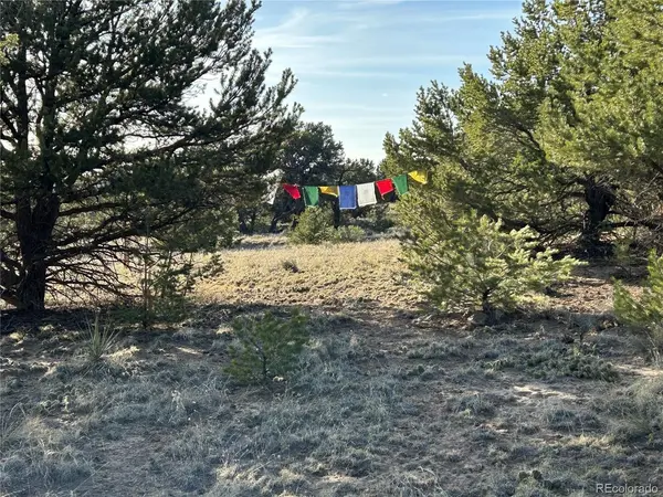 1933 Lone Pine, Crestone, CO 81131