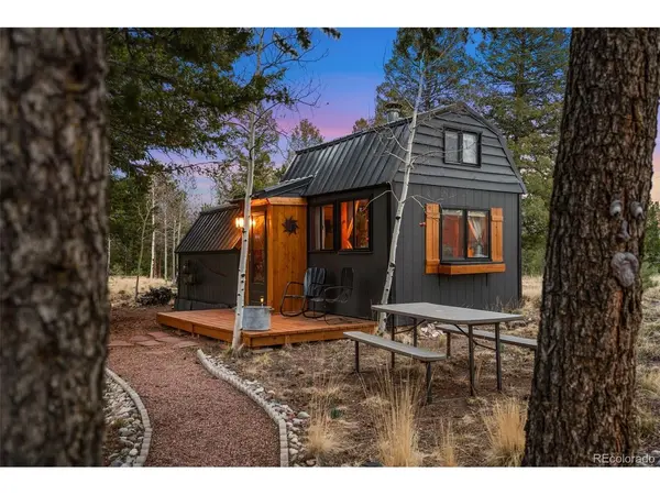 1366 Vagabond Creek, Lake George, CO 80827