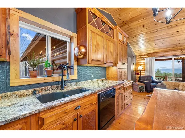 1366 Vagabond Creek, Lake George, CO 80827