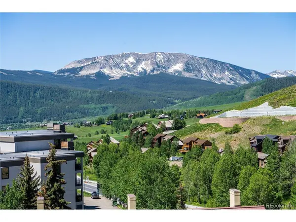 500 Gothic #443, Mount Crested Butte, CO 81225