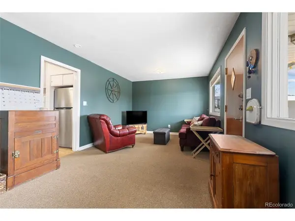 618 Chestnut, Leadville, CO 80461