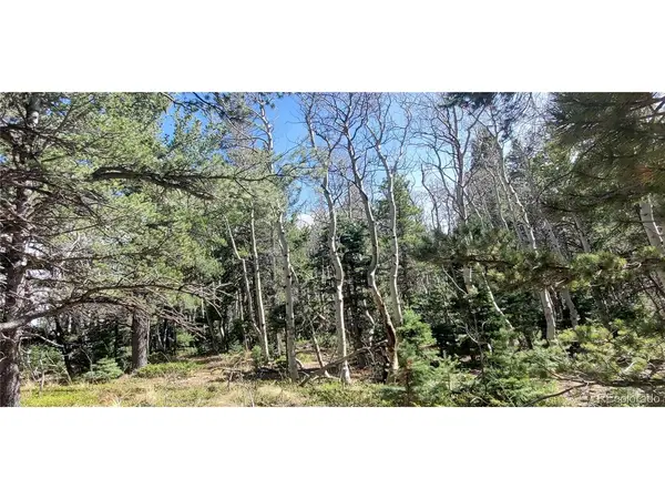 2560 Grojean, Fort Garland, CO 81133