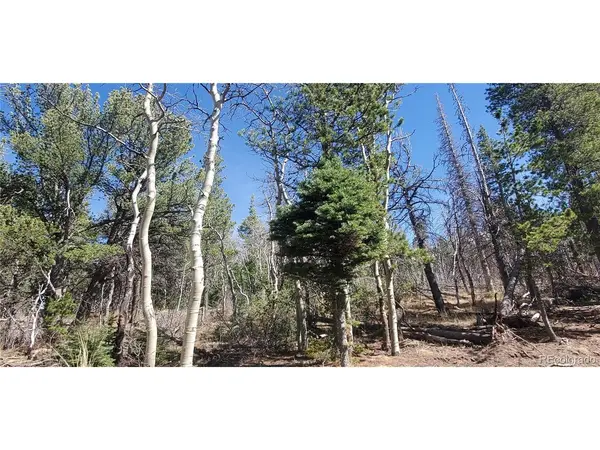 2560 Grojean, Fort Garland, CO 81133