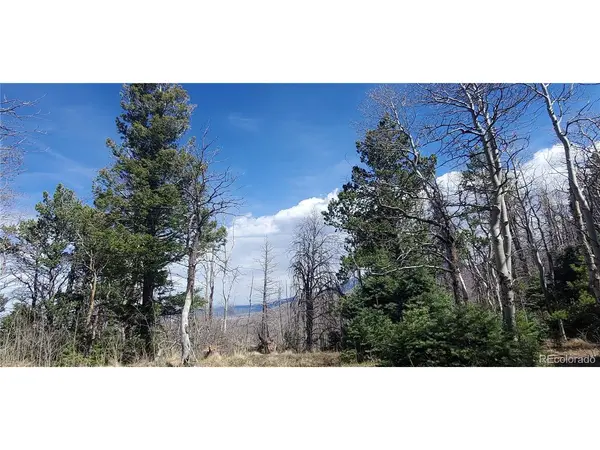 2560 Grojean, Fort Garland, CO 81133