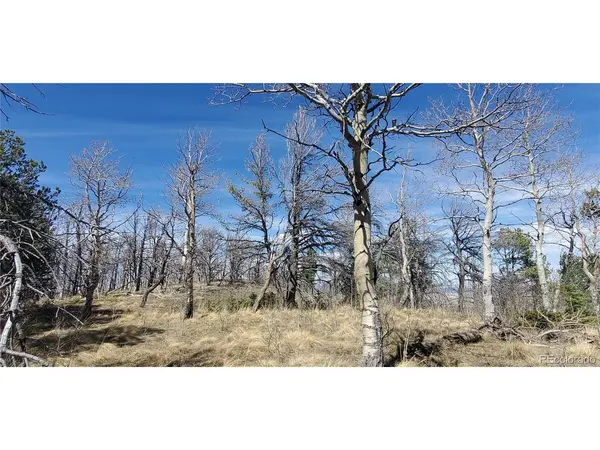 2560 Grojean, Fort Garland, CO 81133