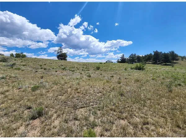 41 Willow, Hartsel, CO 80449