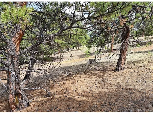 41 Willow, Hartsel, CO 80449