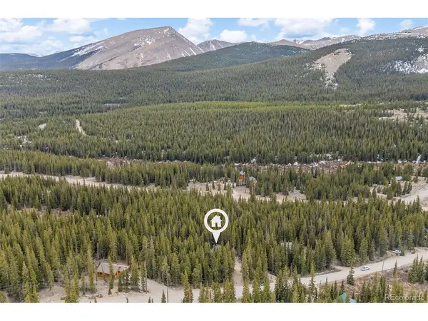 180 Pine Cone, Fairplay, CO 80440