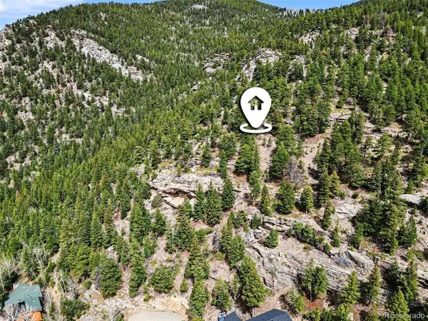 Spruce, Evergreen, CO 80439