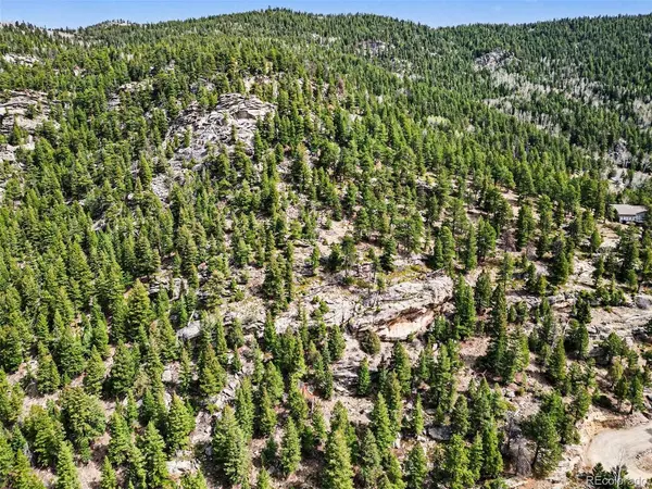 Spruce, Evergreen, CO 80439