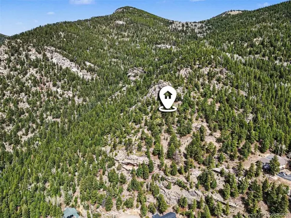 Spruce, Evergreen, CO 80439
