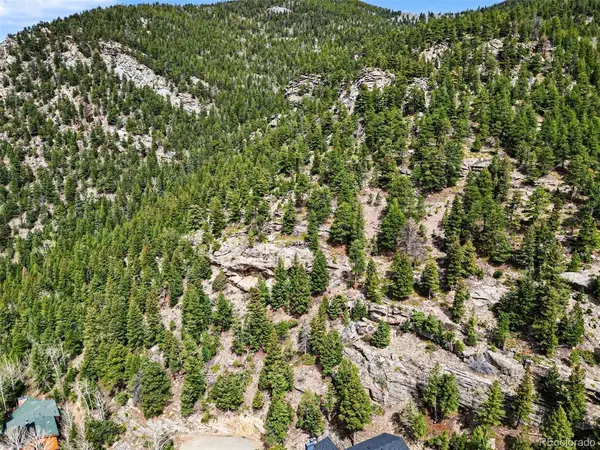 Spruce, Evergreen, CO 80439