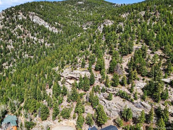 Spruce, Evergreen, CO 80439