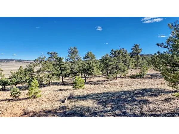 5103 Anasazi, Hartsel, CO 80449