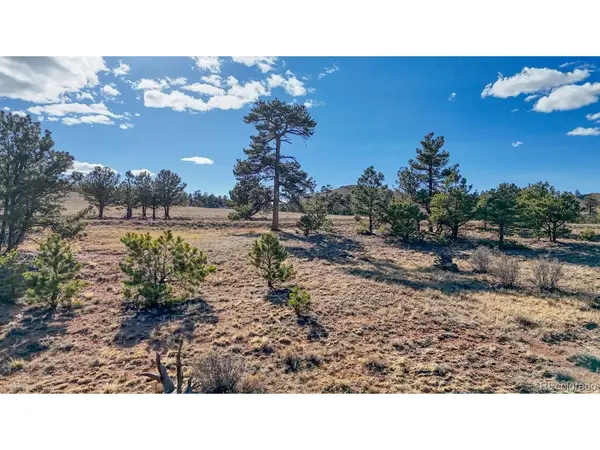 5103 Anasazi, Hartsel, CO 80449