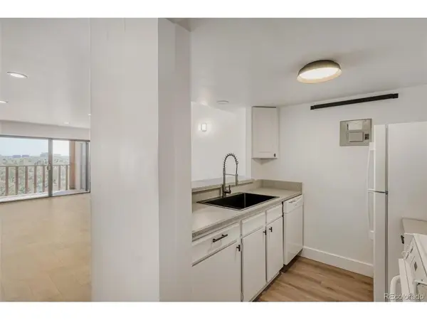 400 S Lafayette #1207, Denver, CO 80209