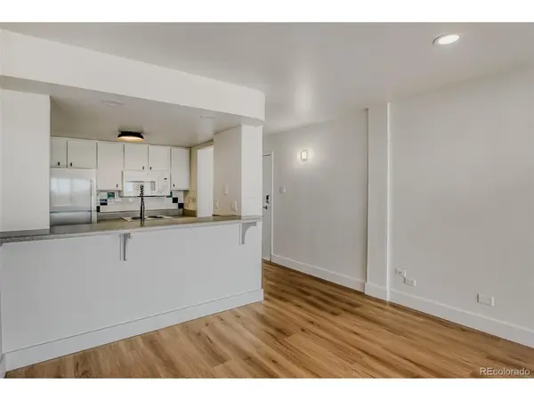 400 S Lafayette #1207, Denver, CO 80209