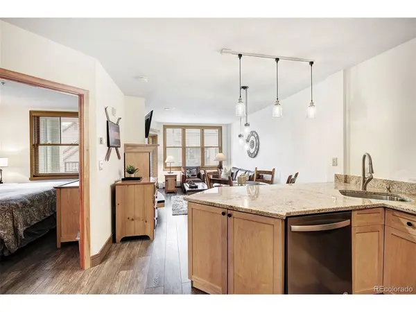 140 Ida Belle #8254, Dillon, CO 80435