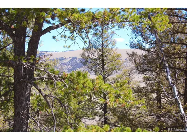 2882 Middle Fork, Fairplay, CO 80440