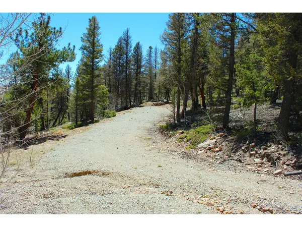 2882 Middle Fork, Fairplay, CO 80440