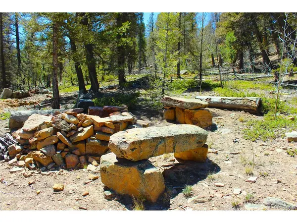 2882 Middle Fork, Fairplay, CO 80440