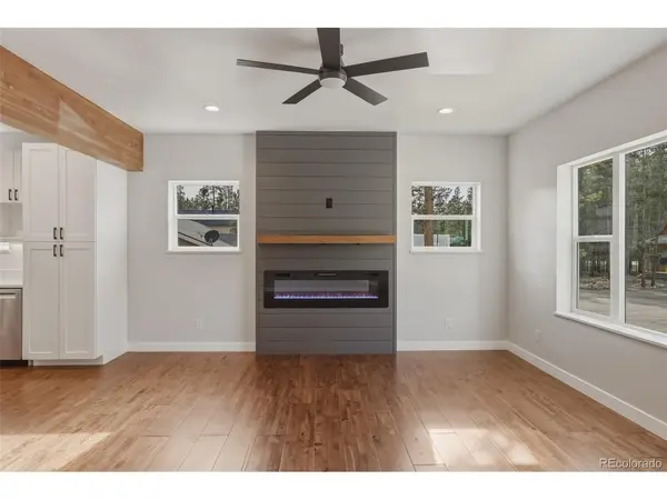 920 Copper, Leadville, CO 80461