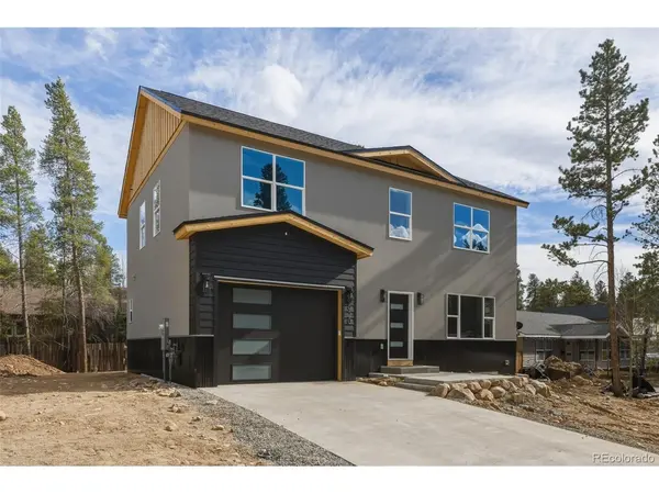 920 Copper, Leadville, CO 80461