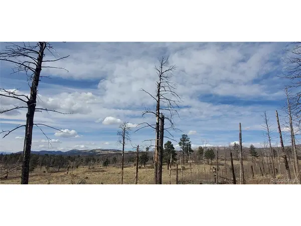 1224 Emery, Fort Garland, CO 81133