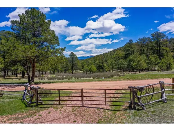 437 Langnis, Guffey, CO 80820