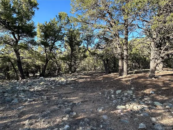 3821 Virtue, Crestone, CO 81131
