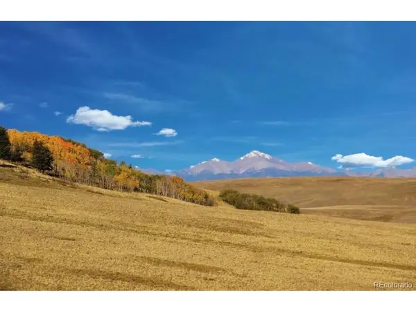 1245 Coochee, Guffey, CO 80820