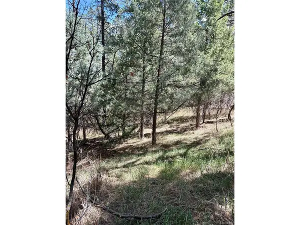 8200 Acoma, Larkspur, CO 80118