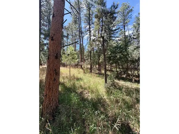 8200 Acoma, Larkspur, CO 80118