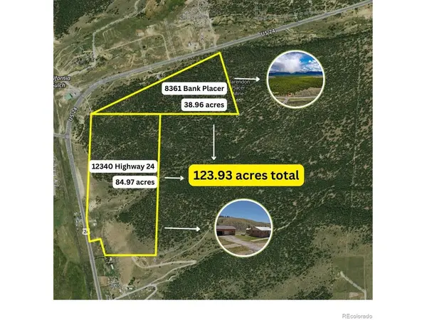 8361 Bank Placer, Leadville, CO 80461