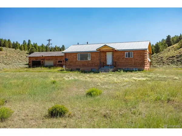 8361 Bank Placer, Leadville, CO 80461