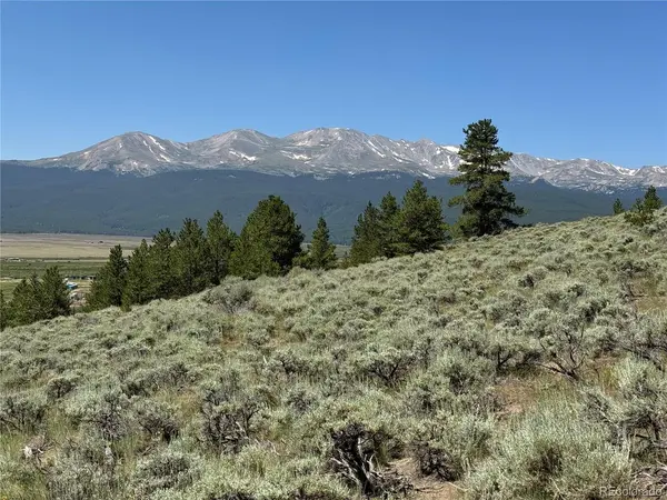 8361 Bank Placer, Leadville, CO 80461