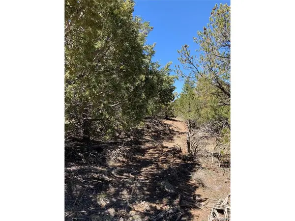 5401 Balleroy, Fort Garland, CO 81133