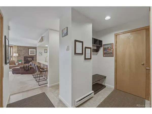 200 E La Bonte #223, Dillon, CO 80435