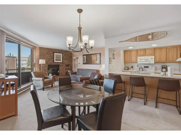 200 E La Bonte #223, Dillon, CO 80435