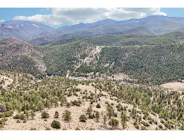 257 Wildlife, Idaho Springs, CO 80452