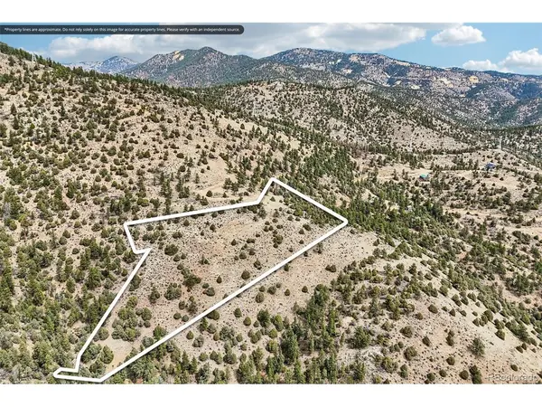 257 Wildlife, Idaho Springs, CO 80452