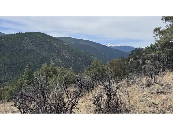 257 Wildlife, Idaho Springs, CO 80452