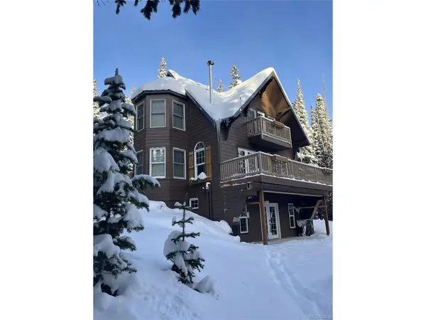 215 Bum, Fairplay, CO 80440
