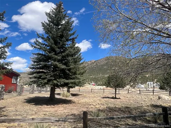 547 Arizona, Buena Vista, CO 81211