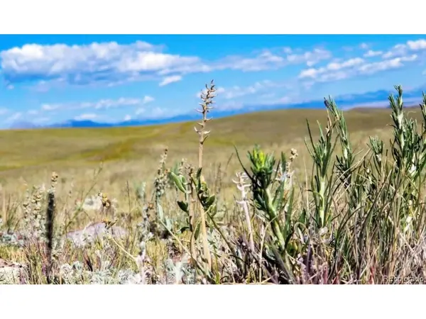1804 Santee, Guffey, CO 80820